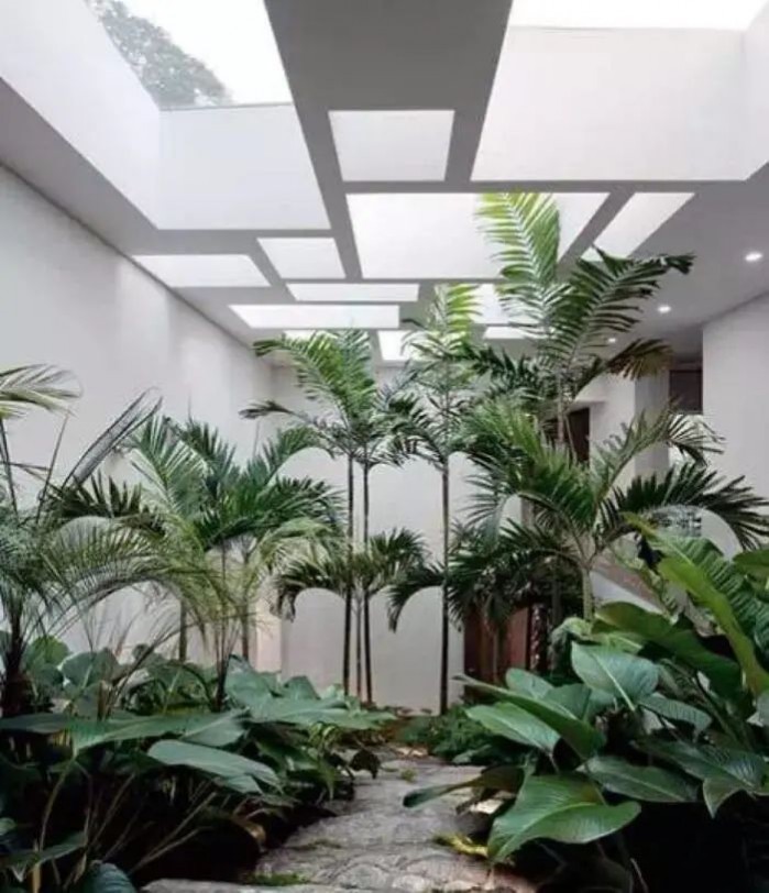 1672279638897086.jpg 1672279638897086.jpg